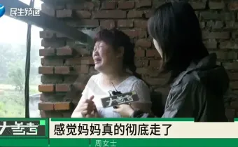 老宅被擅裝光伏、古樹遭砍伐：無邊界的親情，最是傷人
